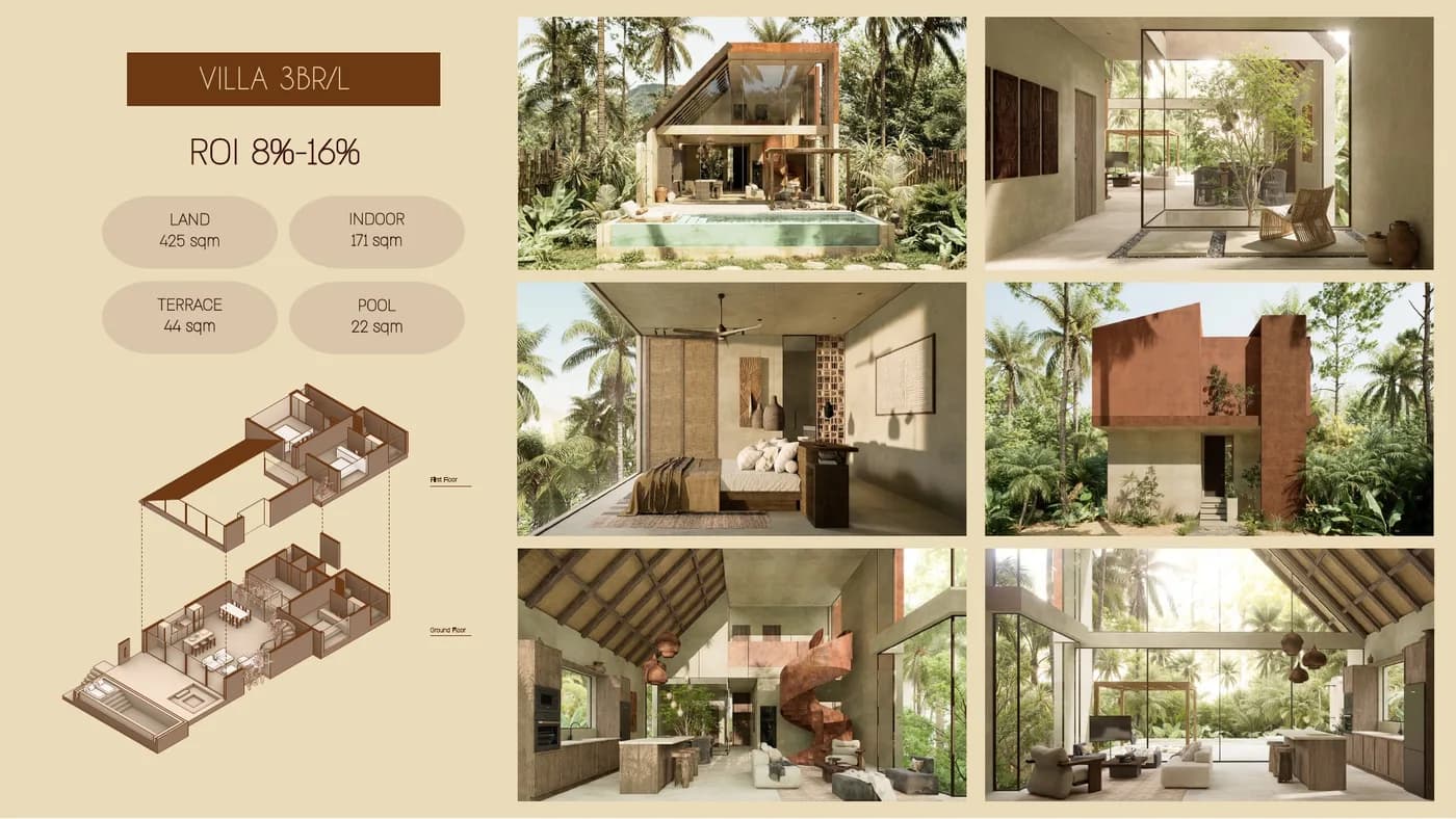 terravida-05.jpg